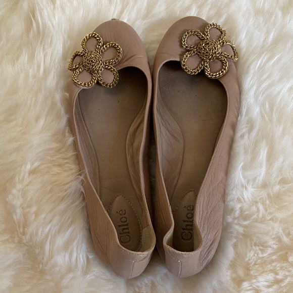 Chloe Gladiolo Taupe Embellished Ballet Flats - Picture 5 of 8